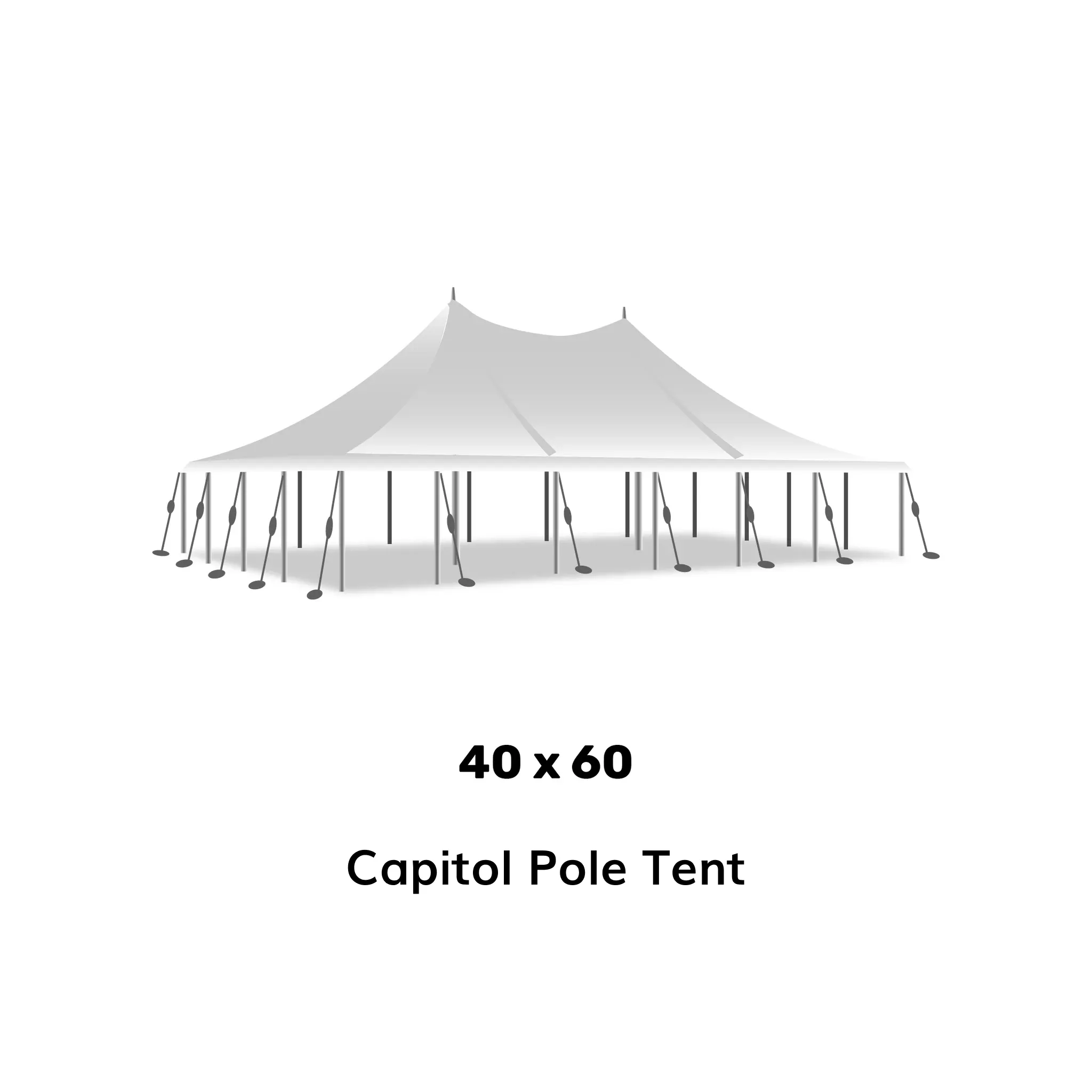40x60 PoleTent