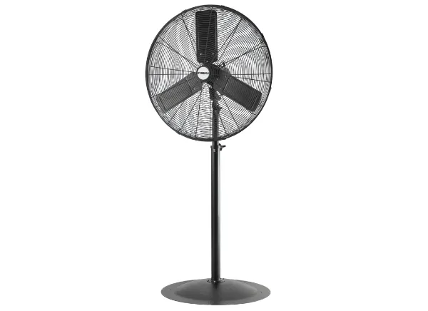 Fans