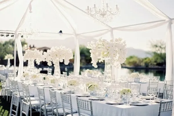 Reception Decorations