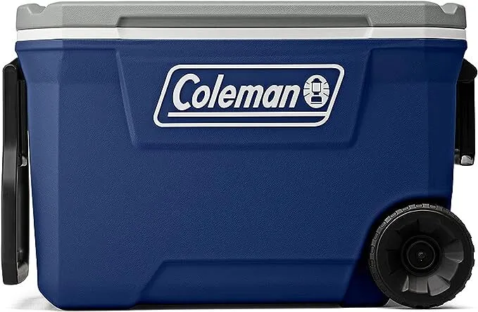 Insulated Portable Cooler