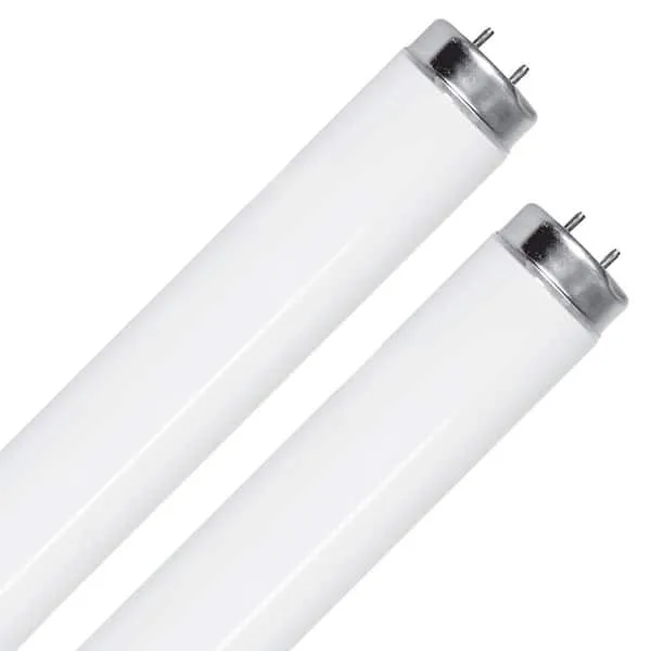 Fluorescent Bulb G13