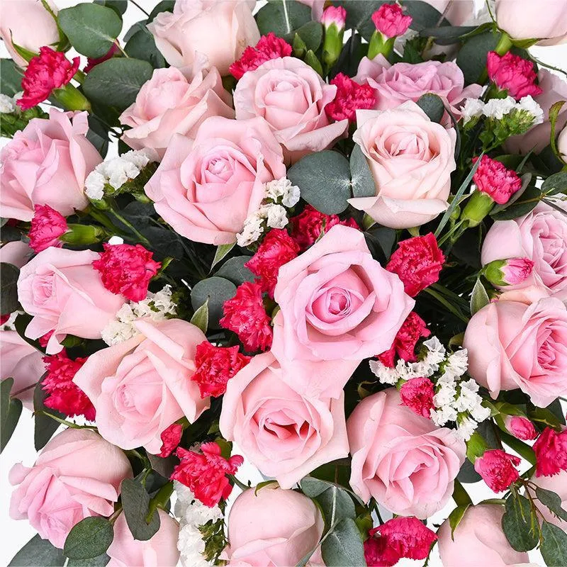 Pink Delight