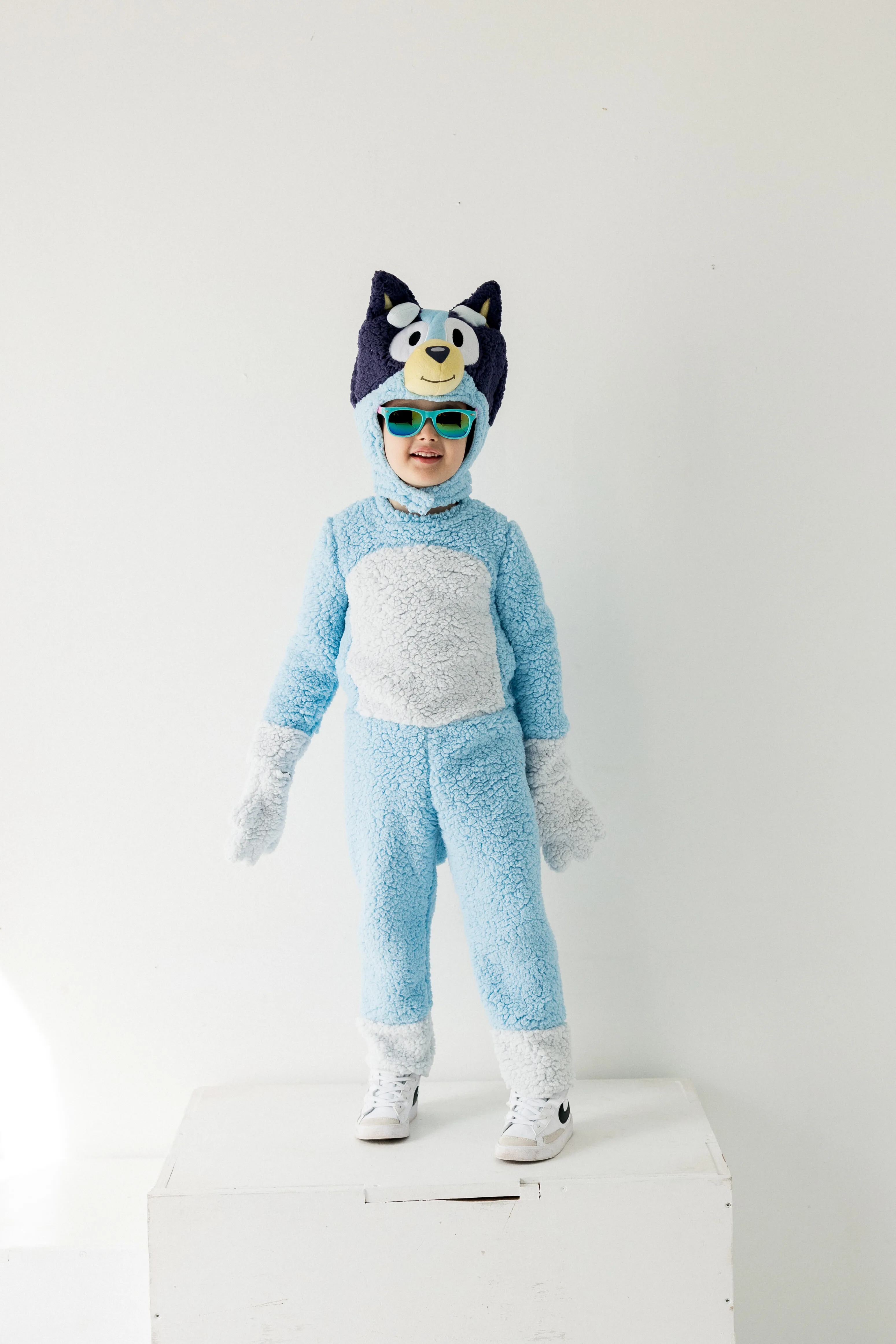 Deluxe Bluey Adventure Costume