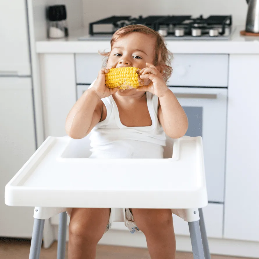 High Chairs & Feeding