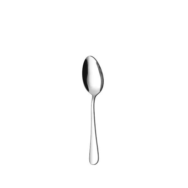 Appetizer Silver Spoon 