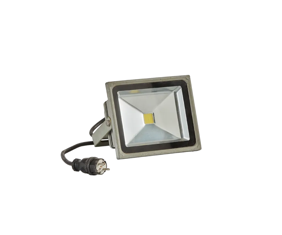 Projecteur 30W LED