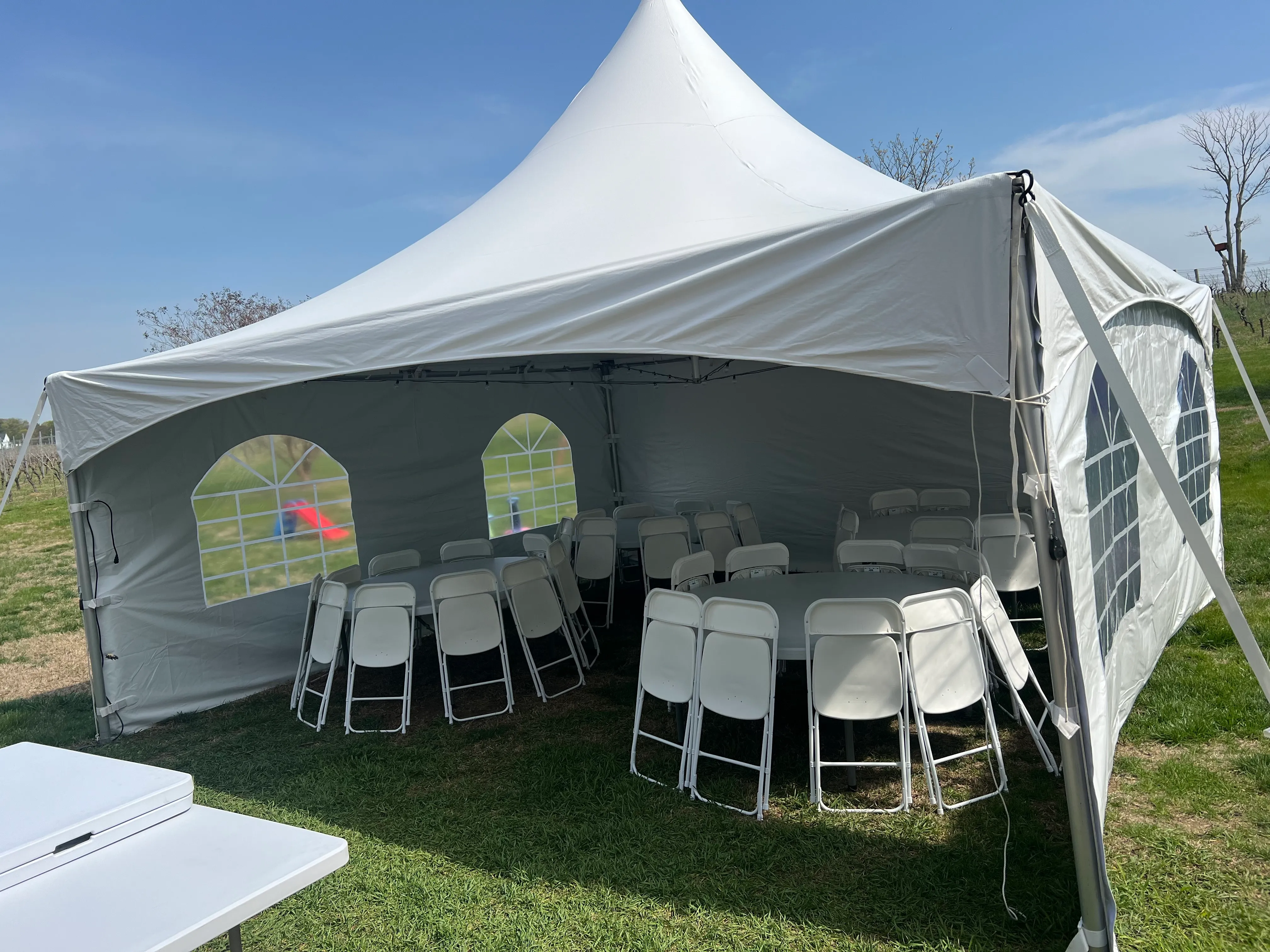 20x20 Intimate wedding package 