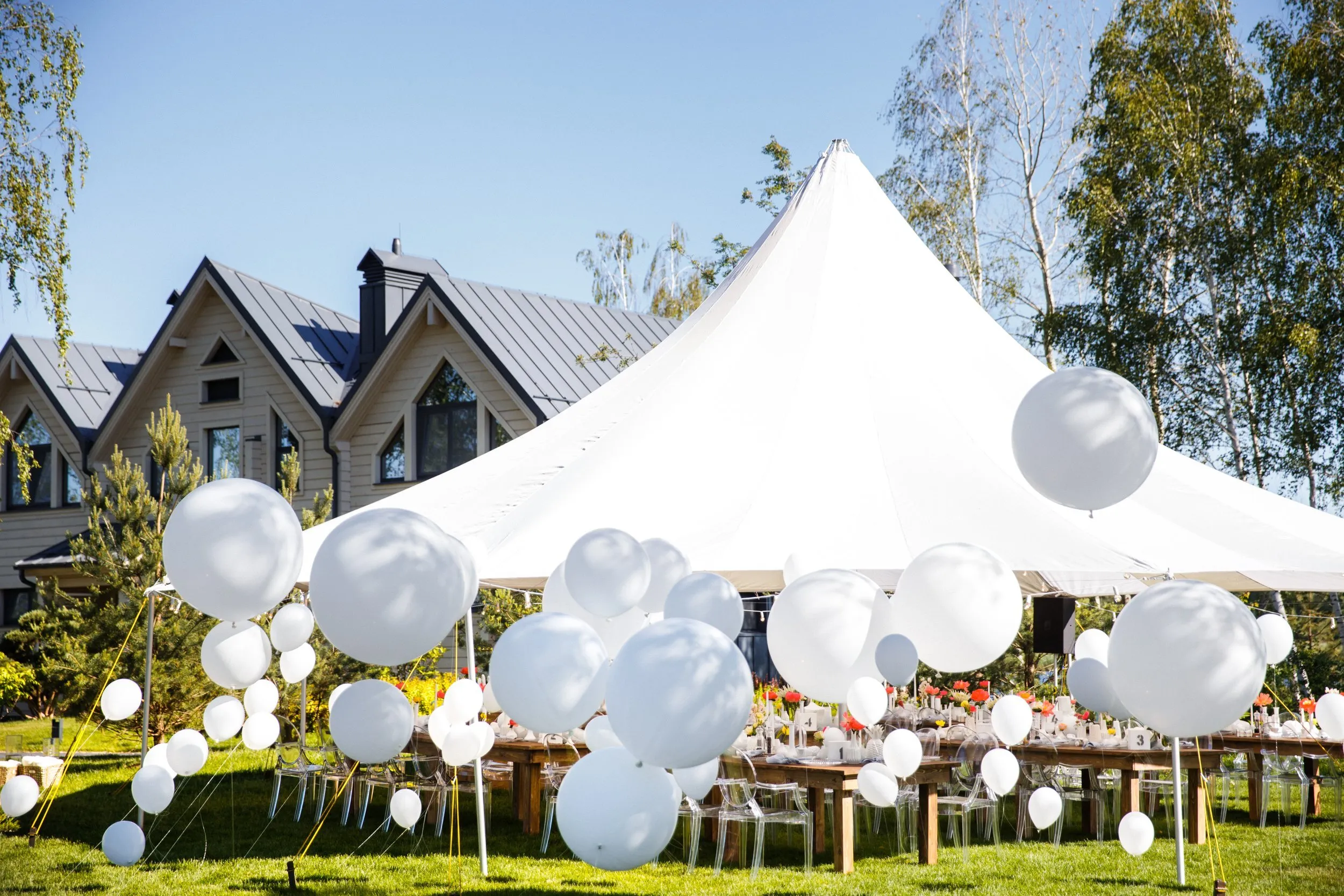 20x20 High Peak Birthday Package 
