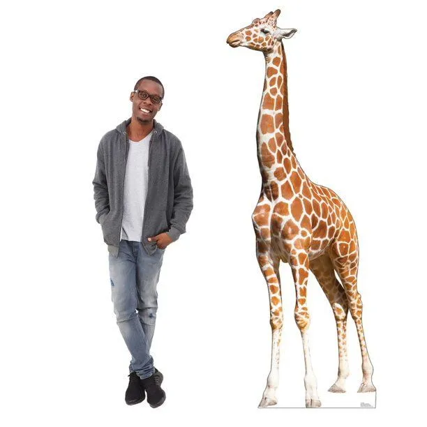 7ft Stuffed Giraffe 