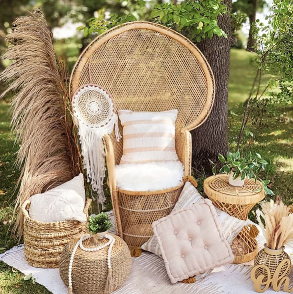 Peacock Chair 