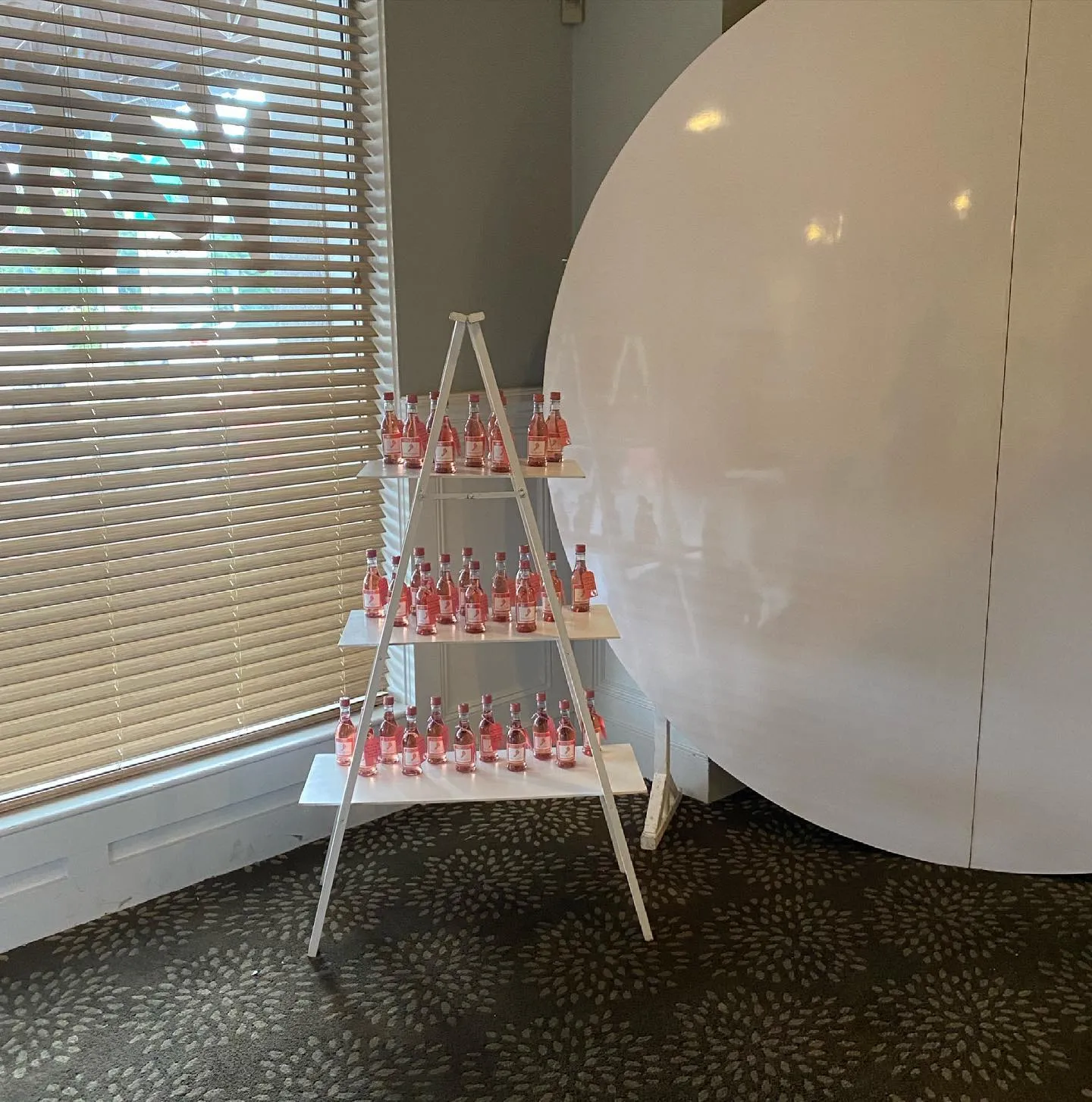 Tall White Ladder