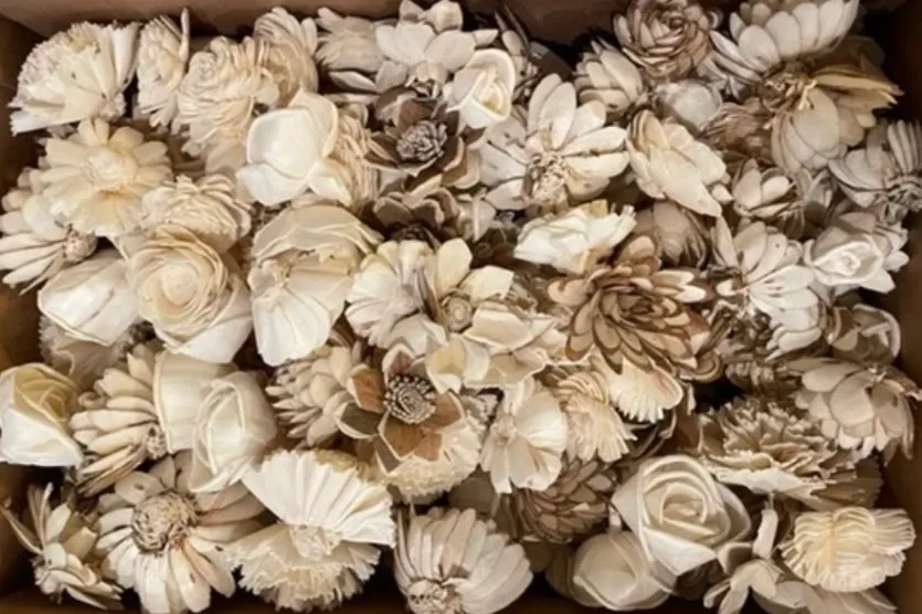 Sola Wood Flowers in Cream (Box)