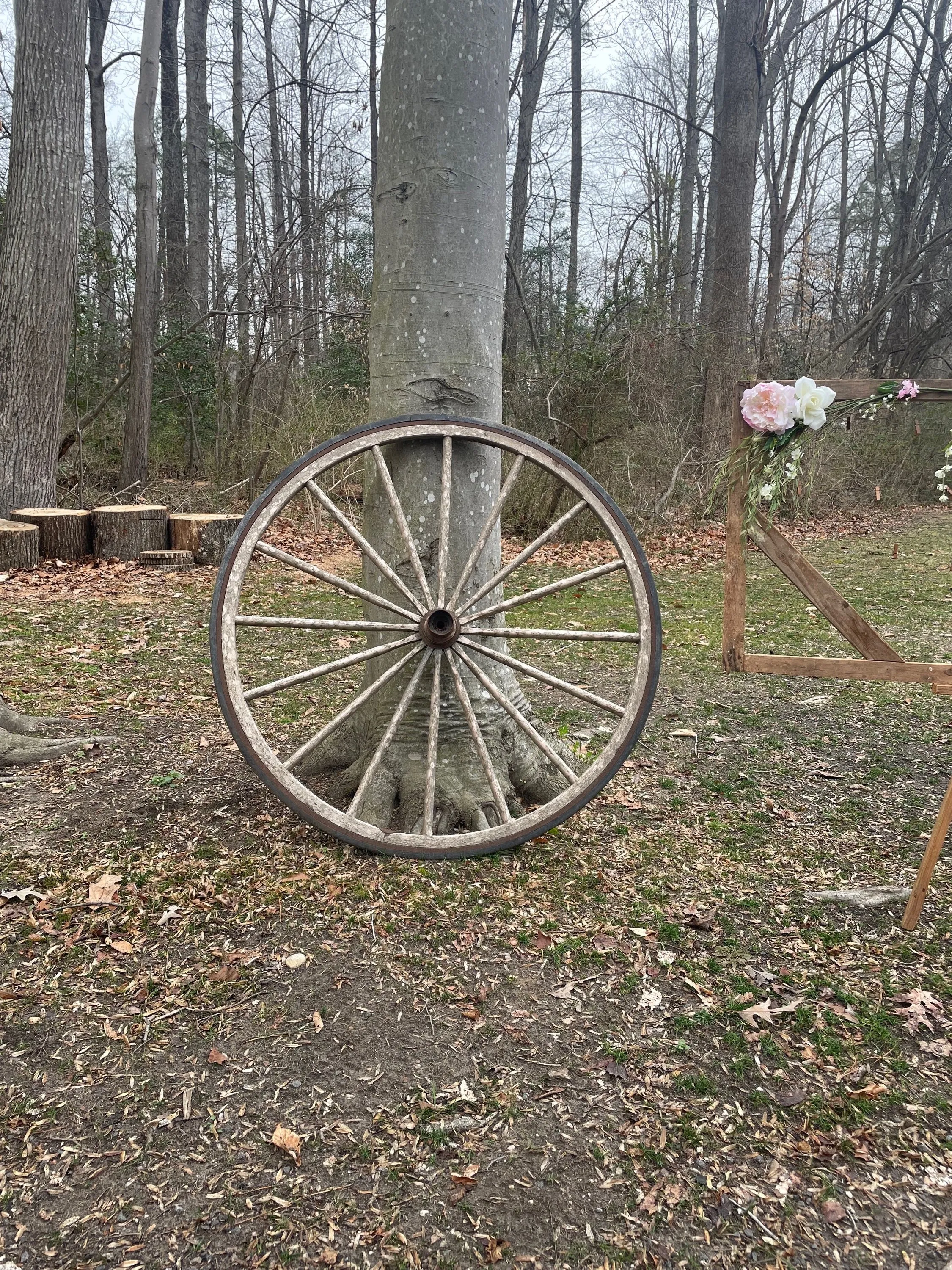 Wagon Wheels