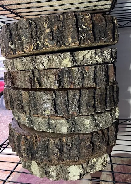 Thick Wood Rounds (RAW)