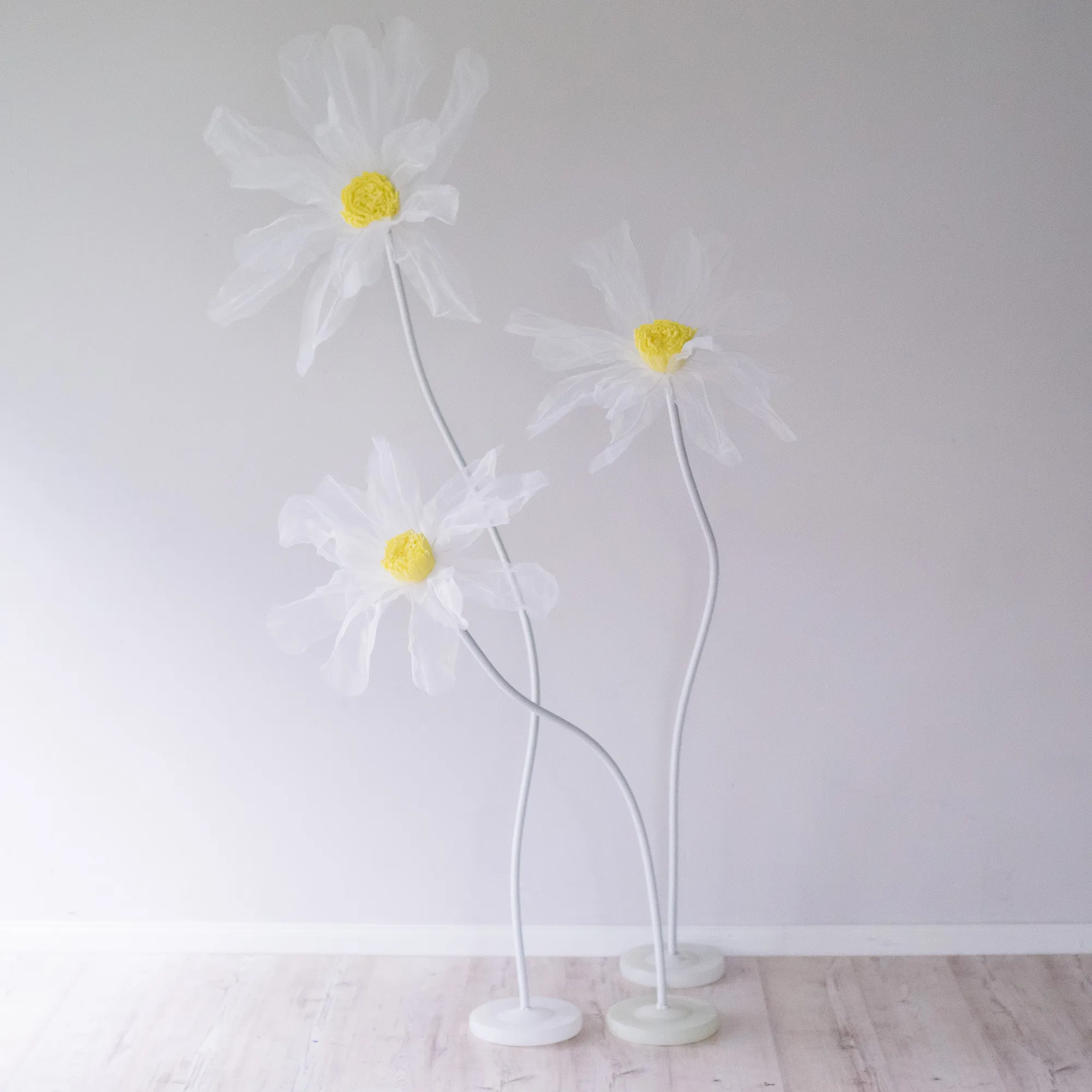 3 x XL daisy