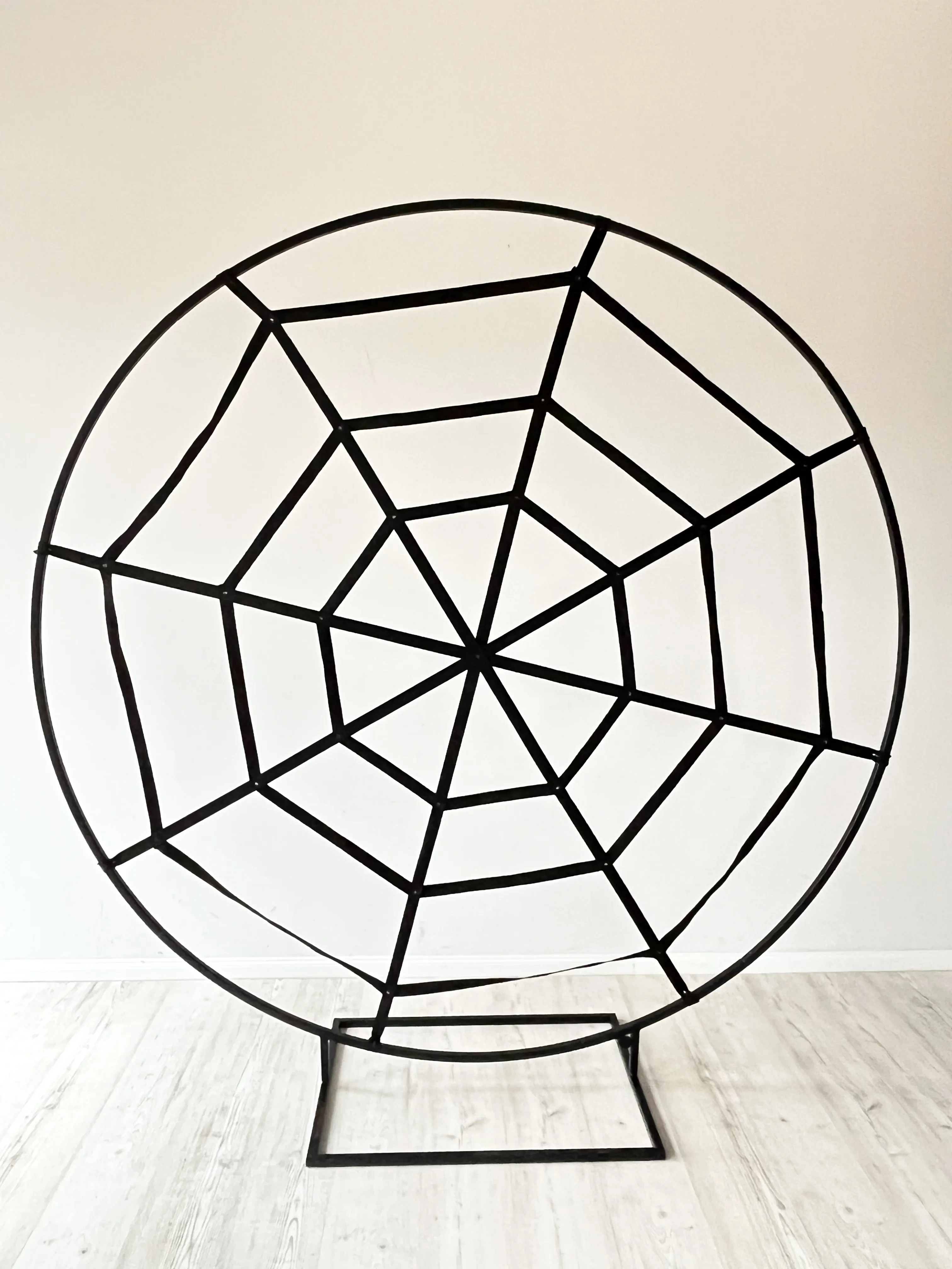 SPIDER web 2 m