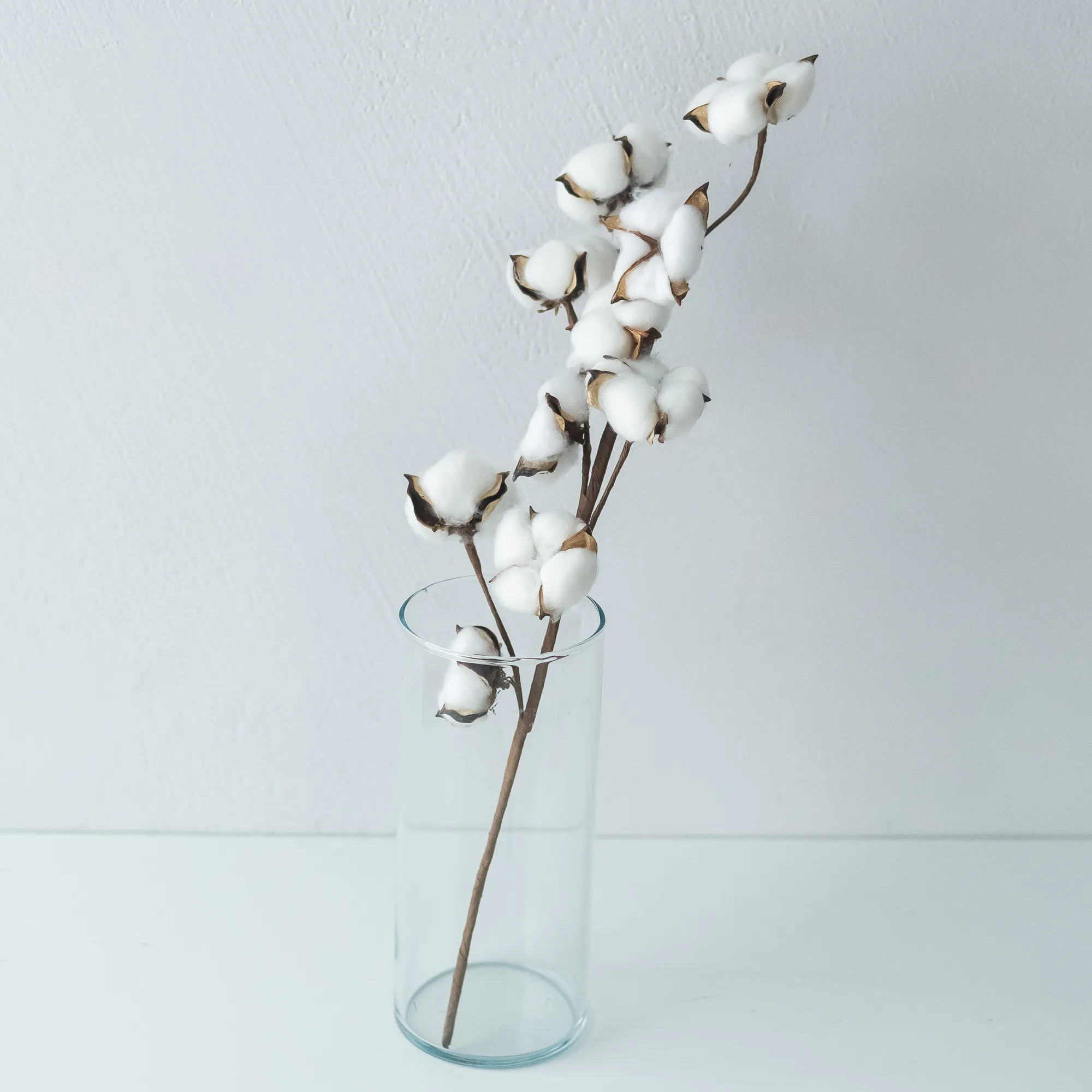 COTTON