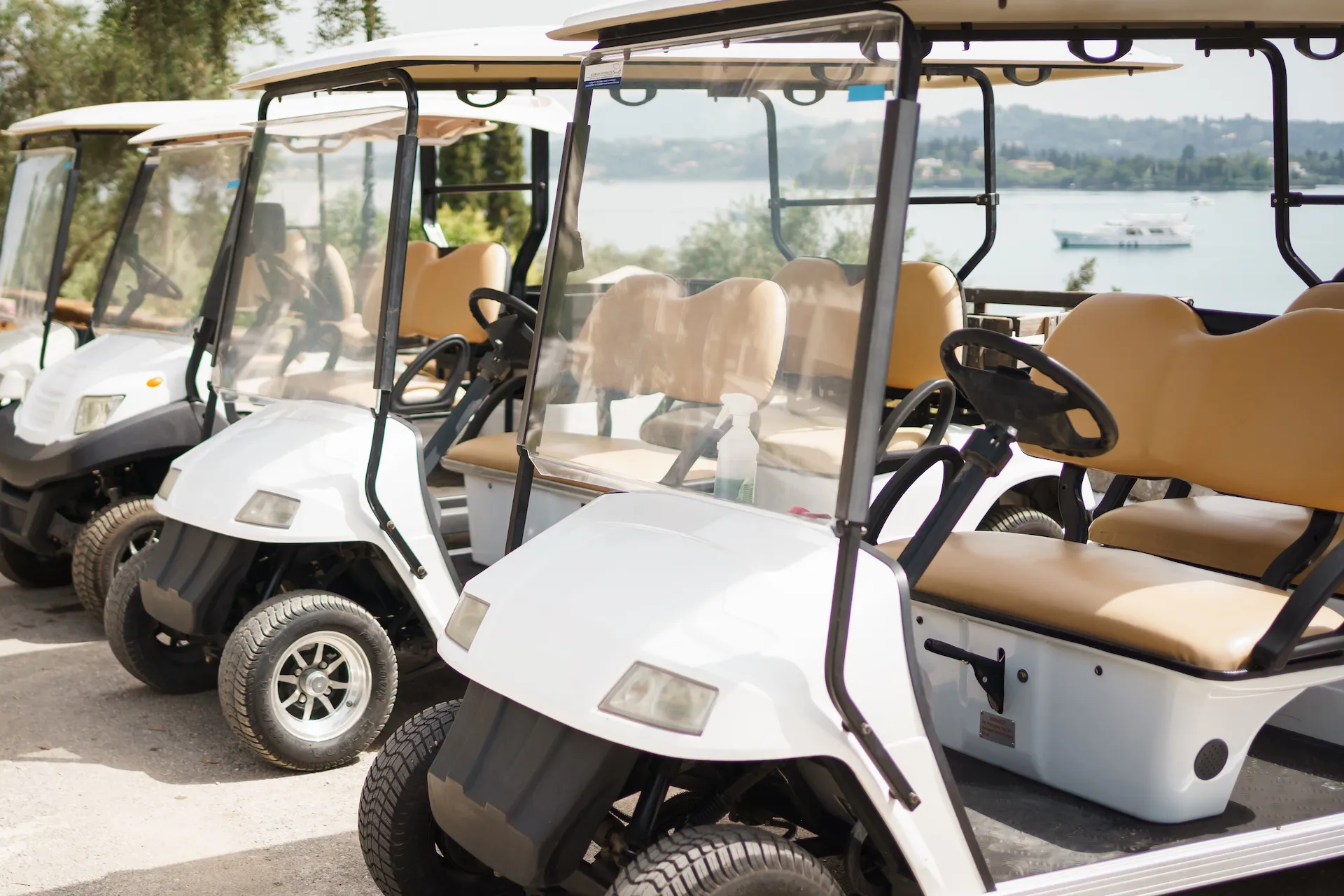 Golf Carts