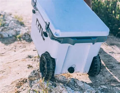 Beach Cooler