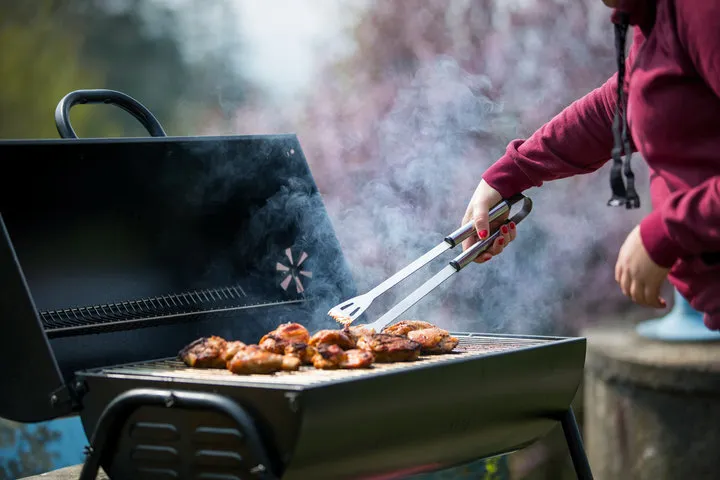 Small Weber 2-Burner Grill 
