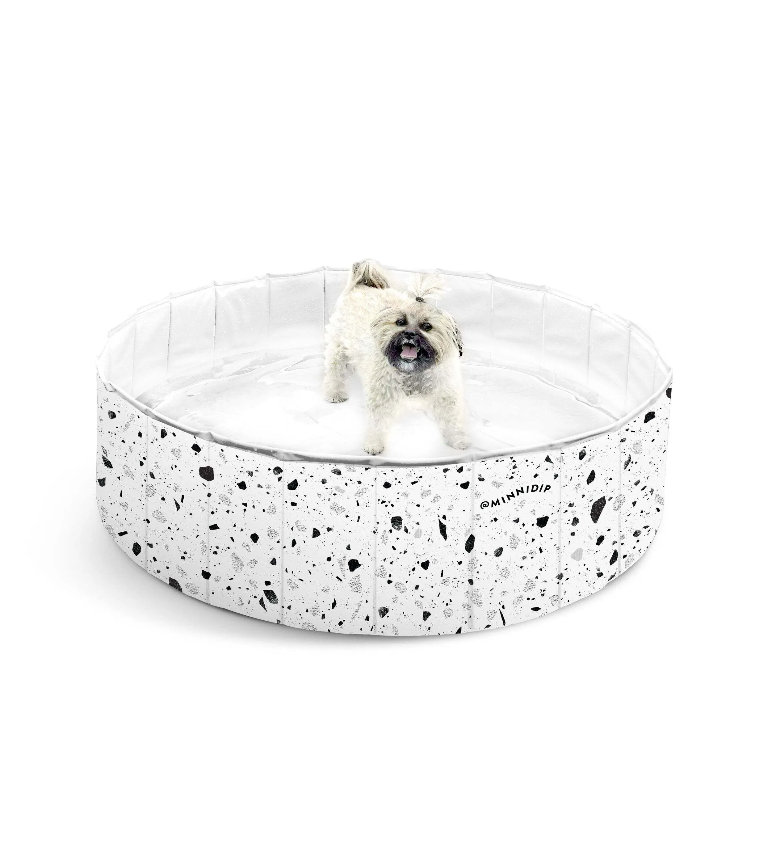 Dog Pool for Cool Vacation Fun & Safe Splash Play