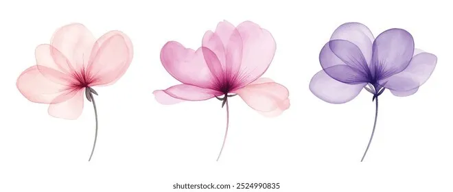 Flores Pastel Pink/ White A