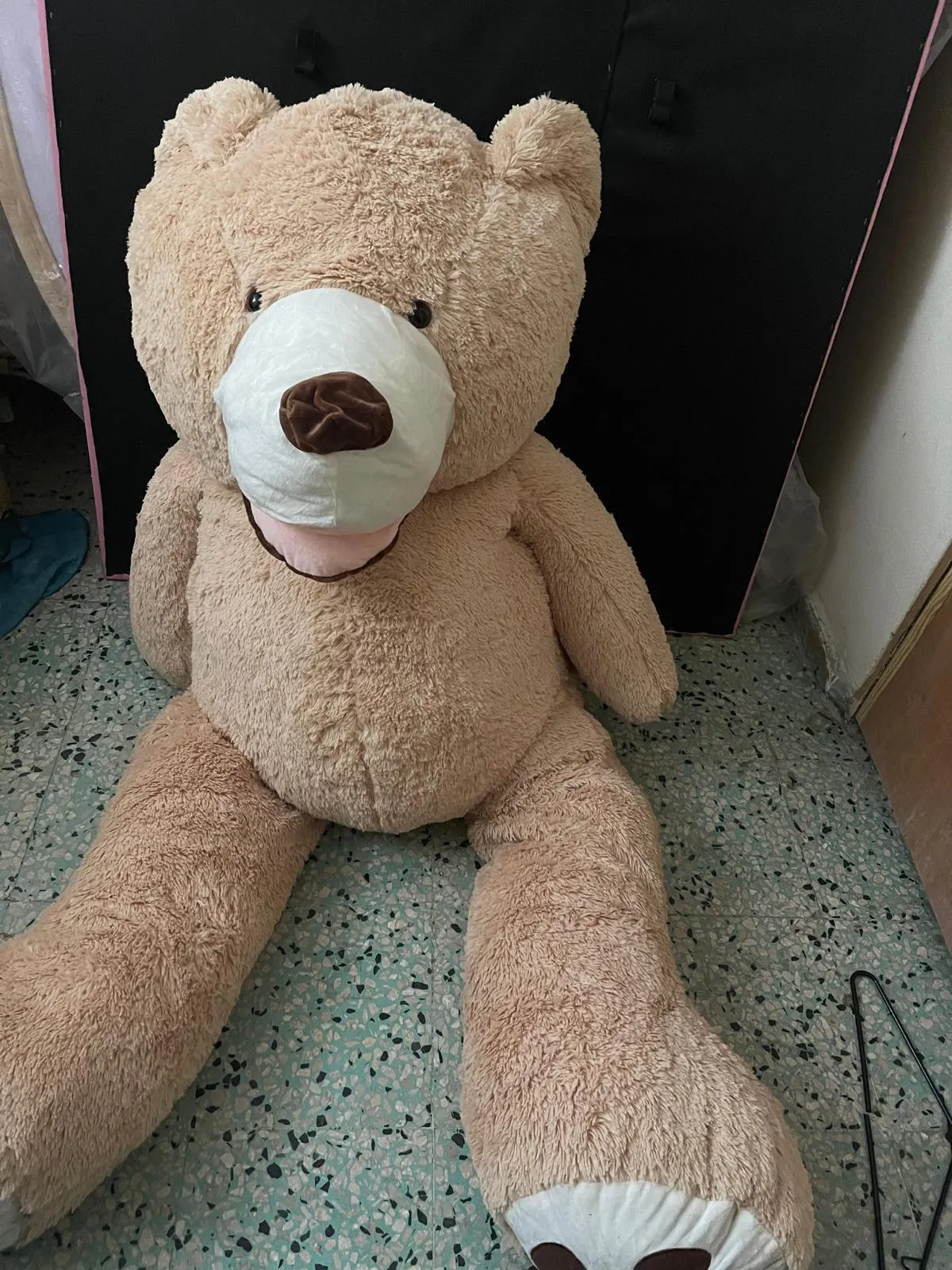 Oso de peluche 