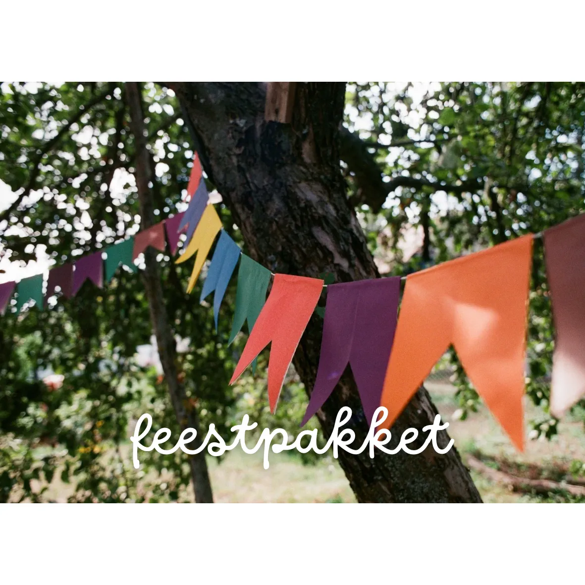 Feestpakket S