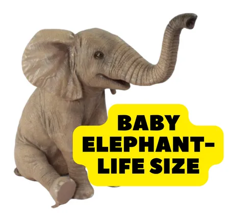 Animal Rentals