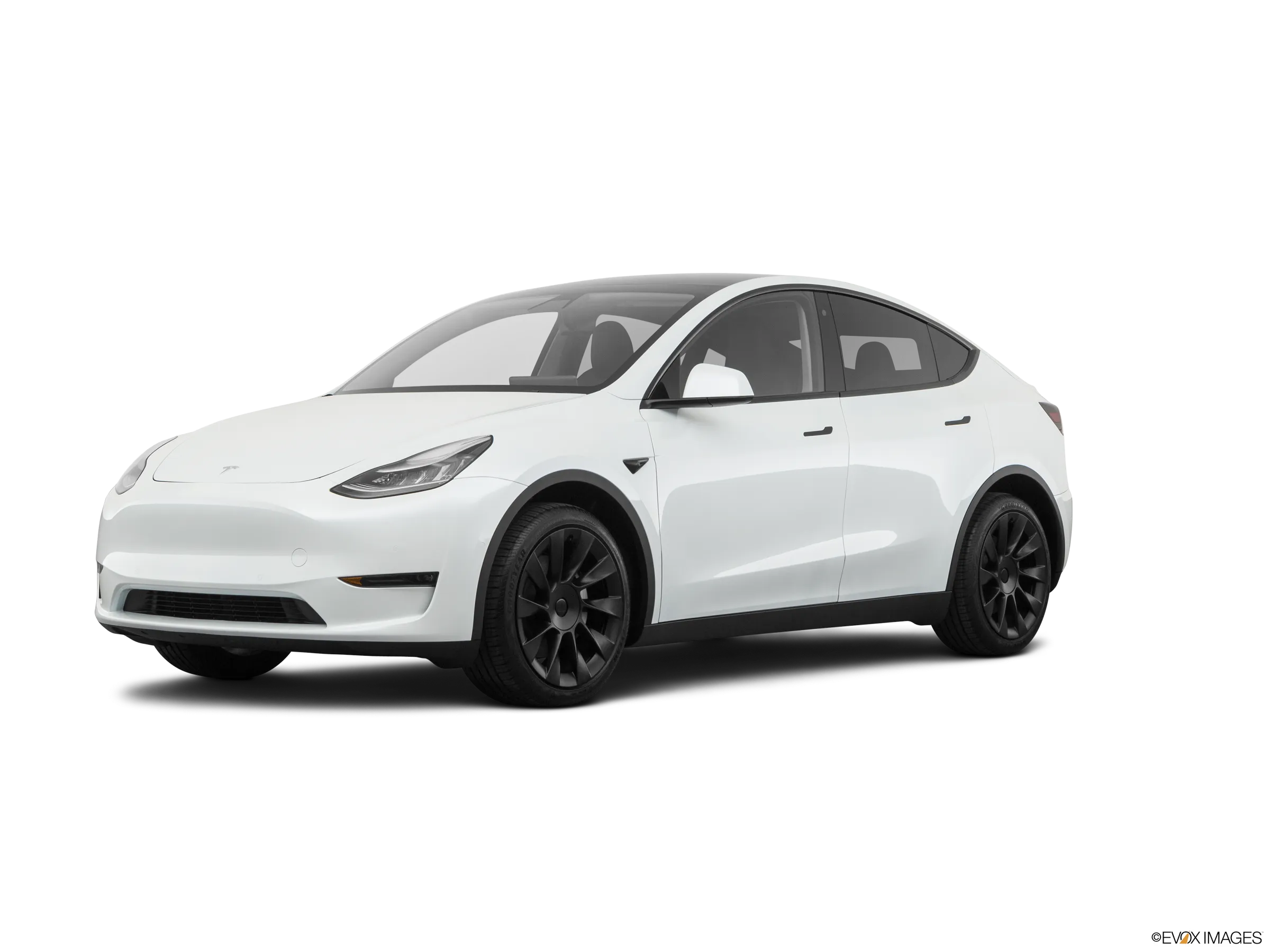 Snow White | Model Y