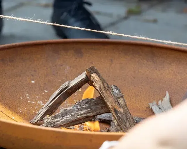 Expeditie Robinson Zeskamp