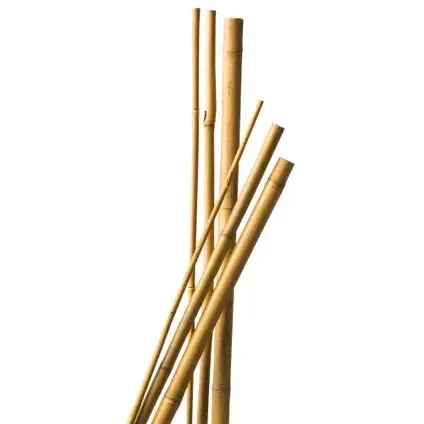 Bamboe Vis Spel