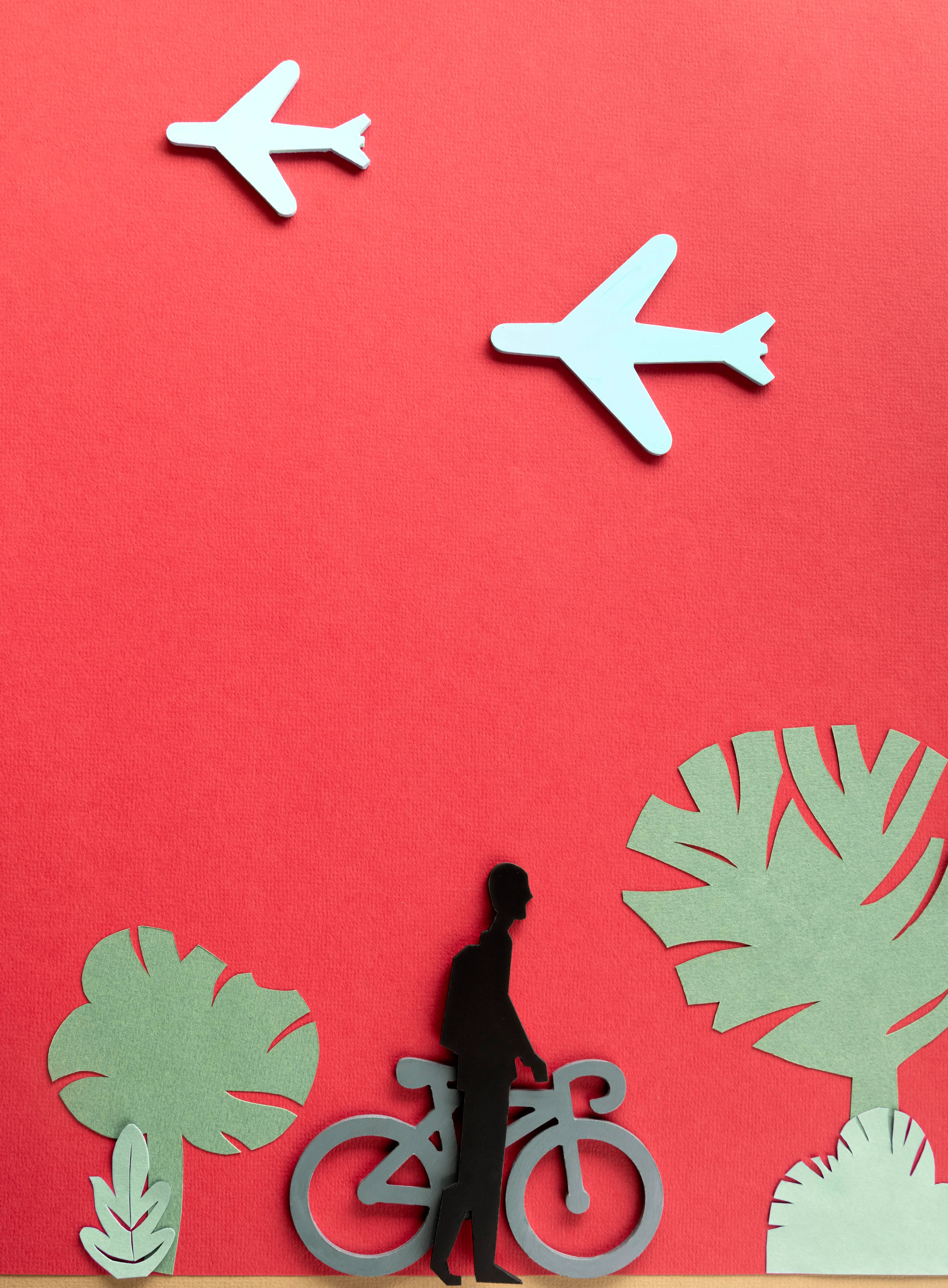 Ik ga met het vliegtuig