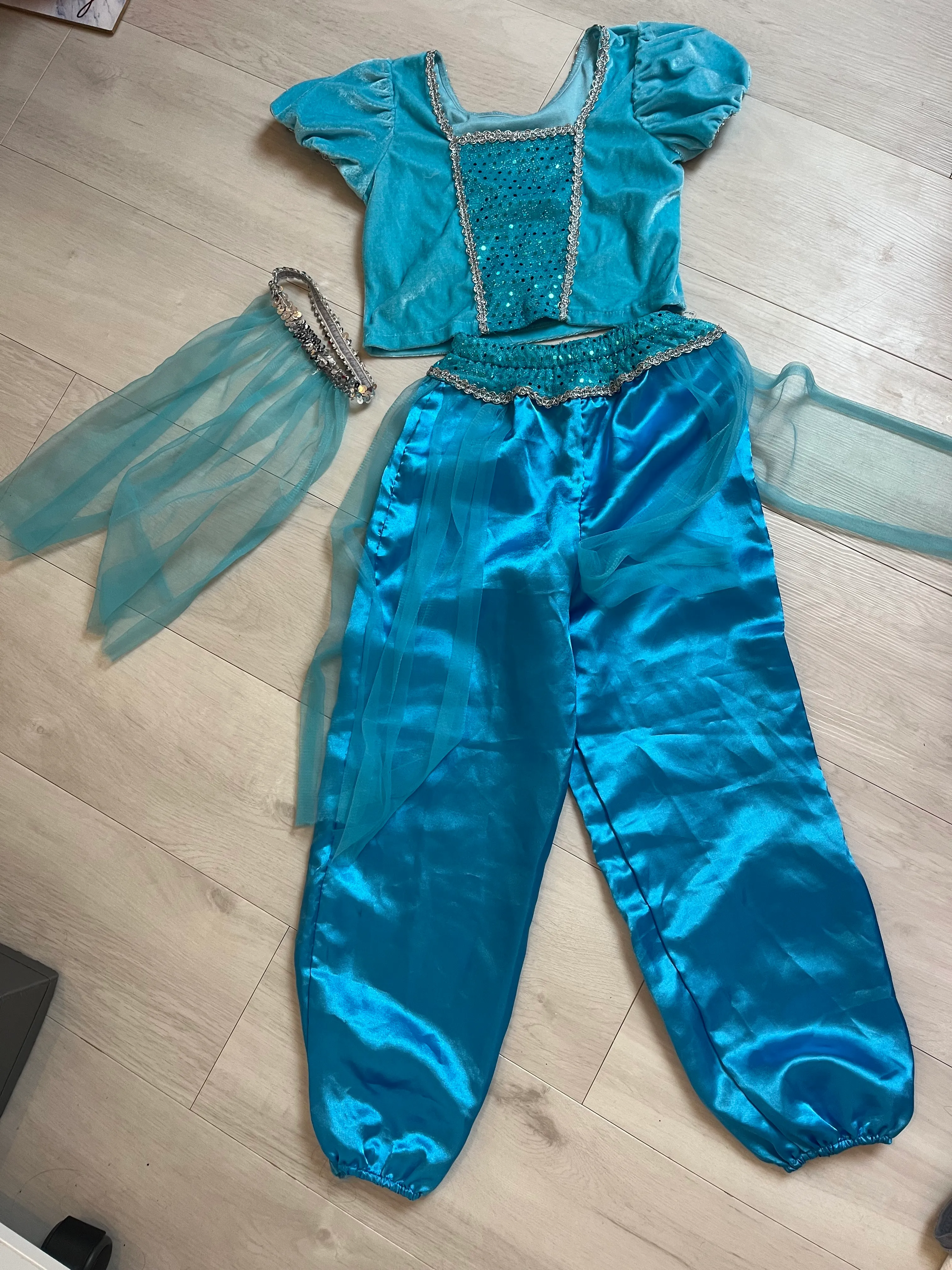 Character- Blue Aladdin