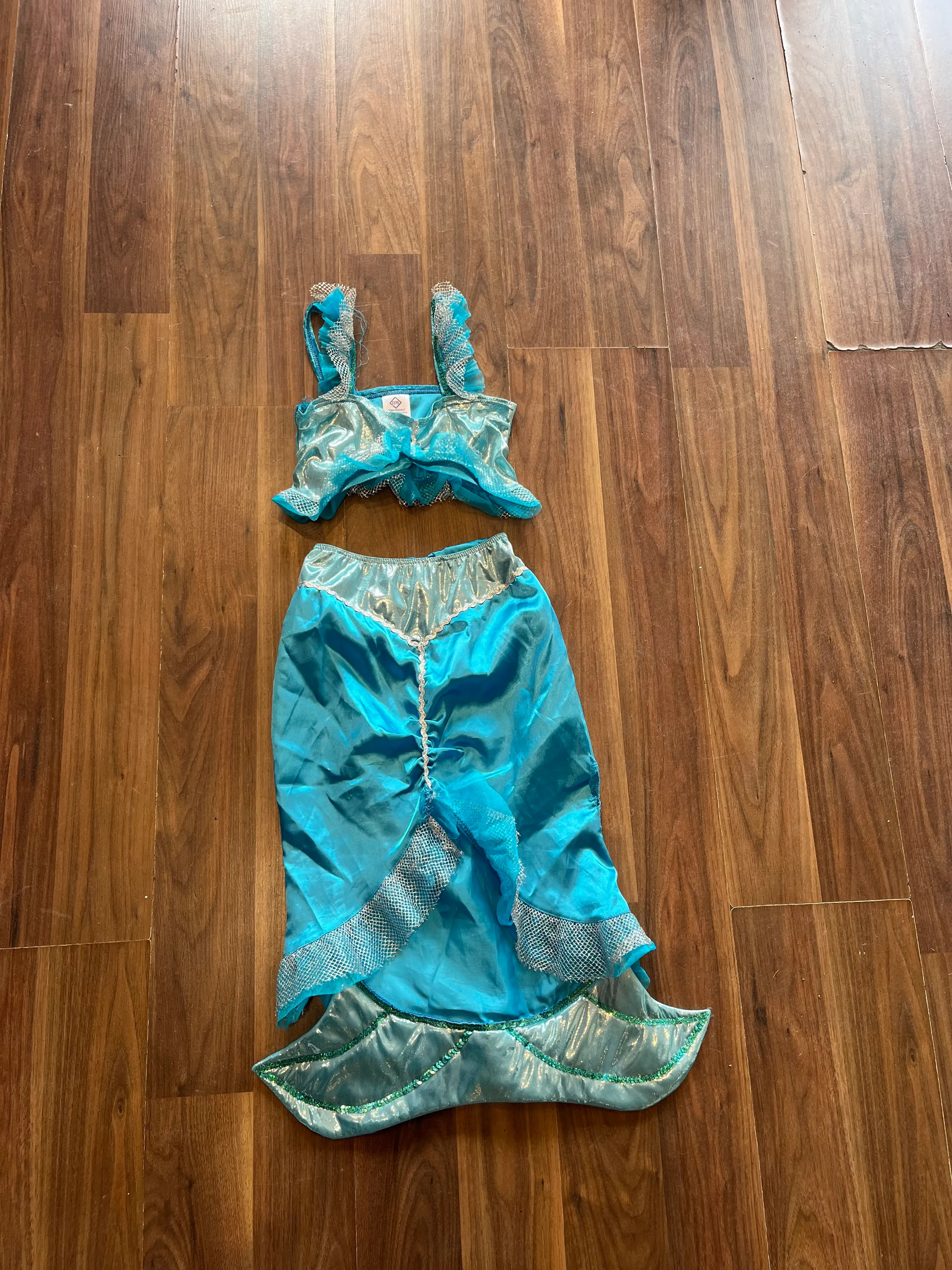 Character- Blue mermaid two piece