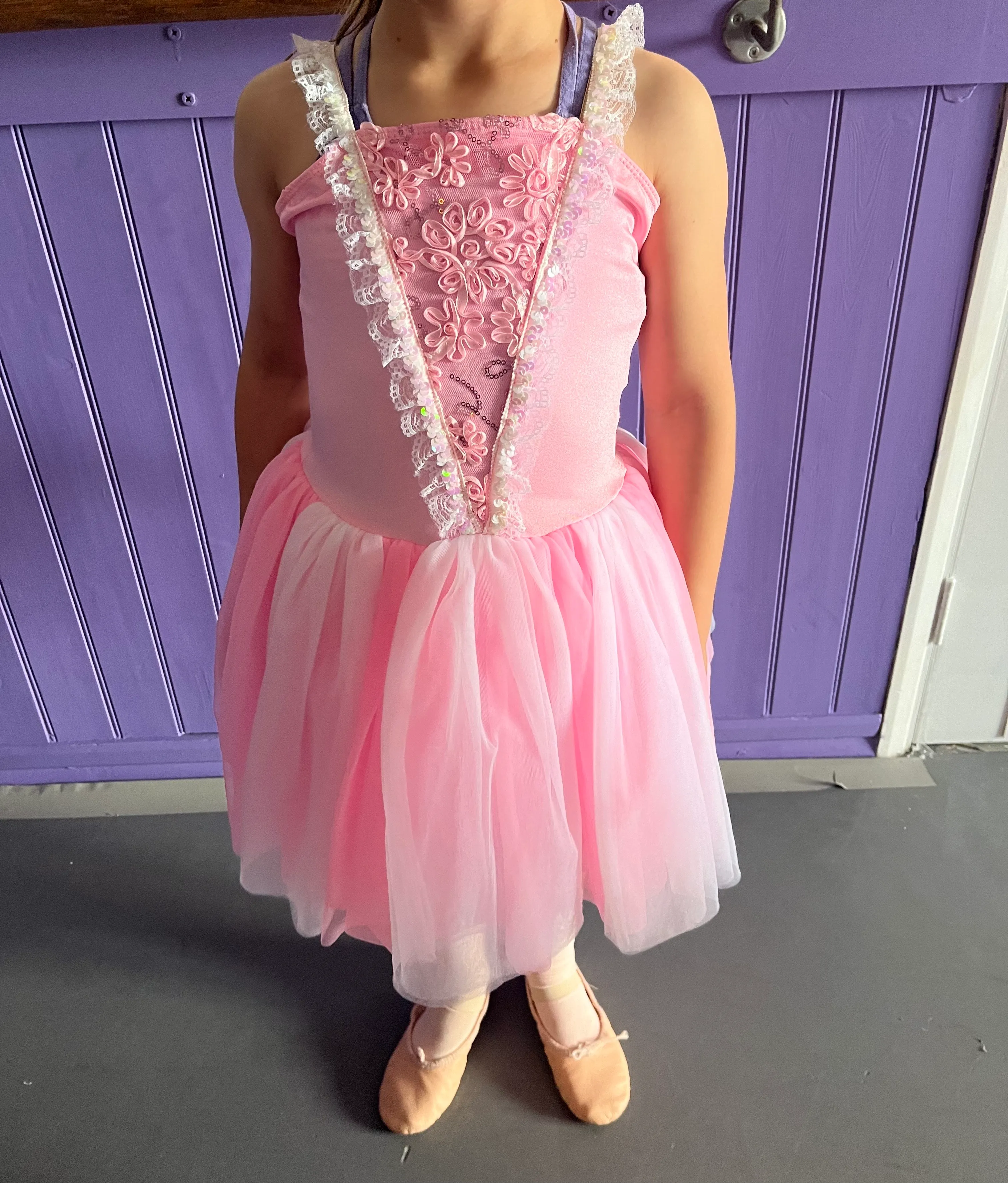 Dress- Pink Childs romantic tutu