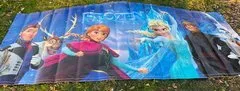  Frozen