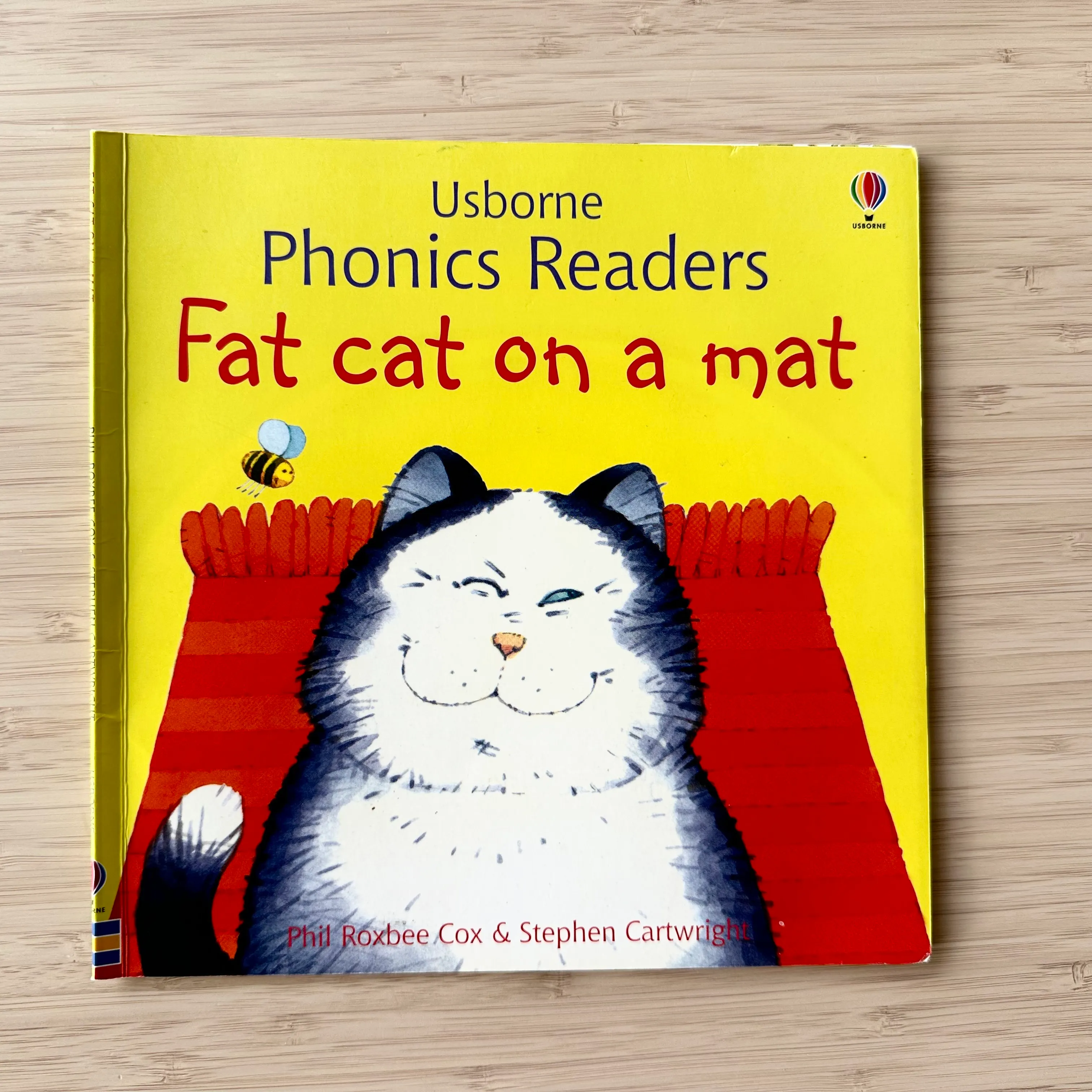 Fat cat on a mat