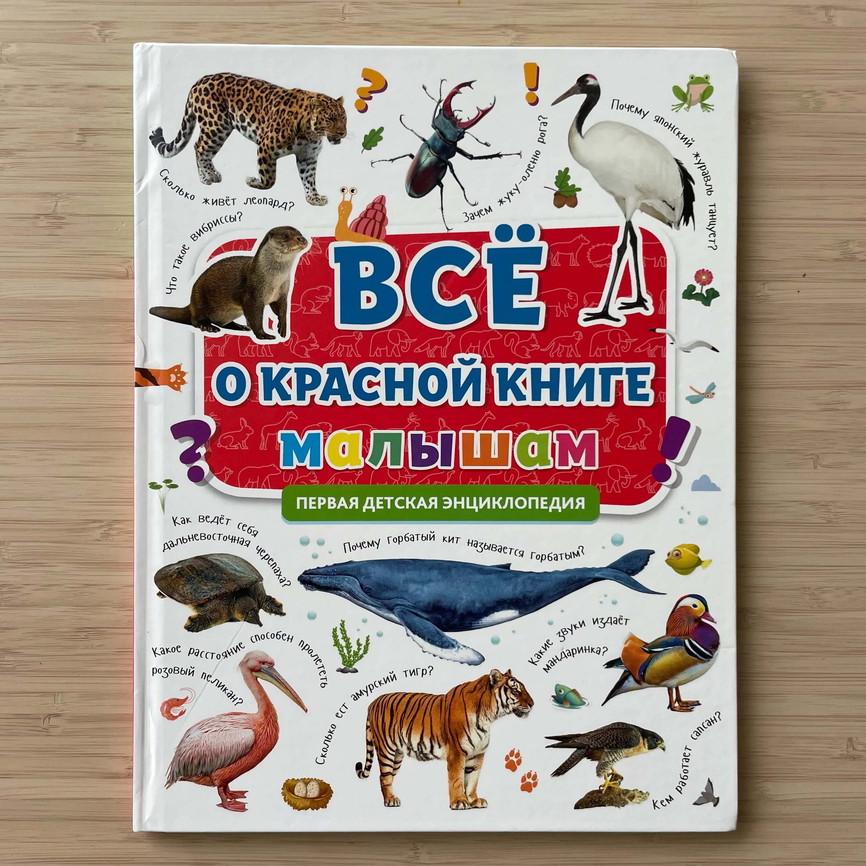 Всё о Красной книге. Малышам