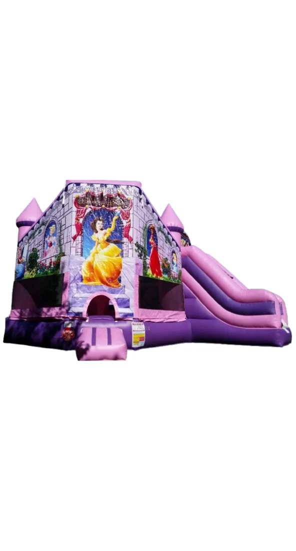 Princess Palace Combo