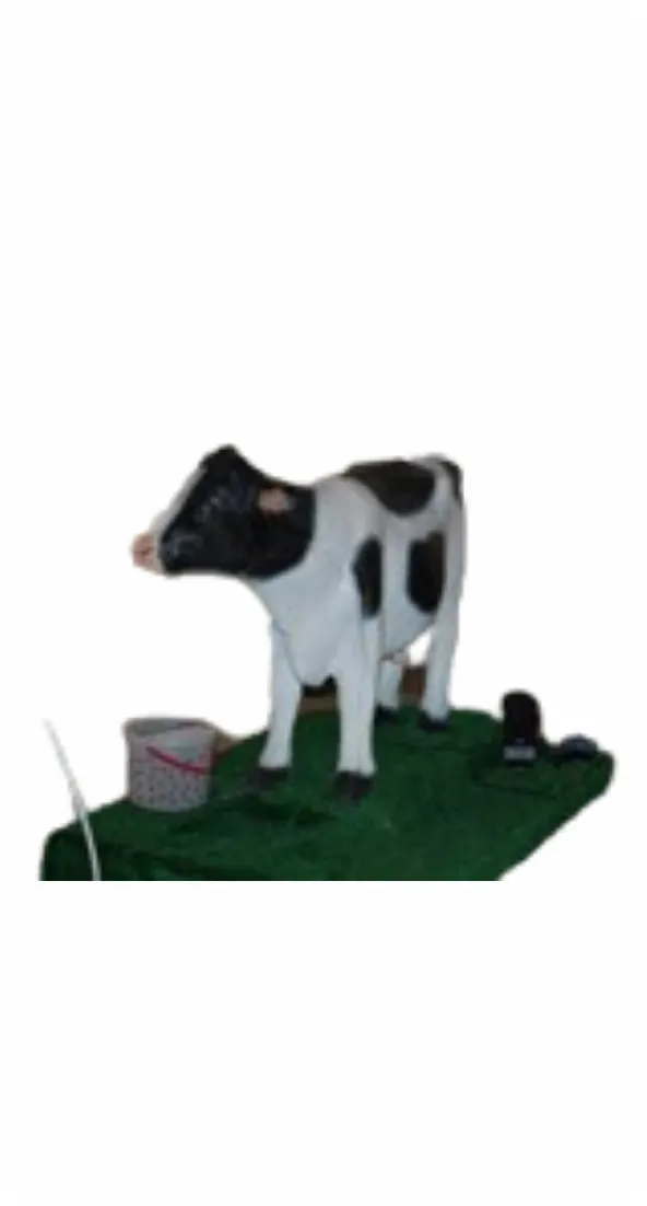 Cow Lasso