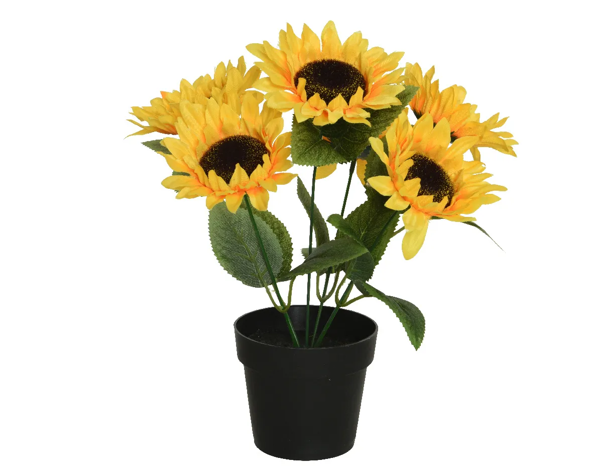 Zonnebloemen per 6 stuks