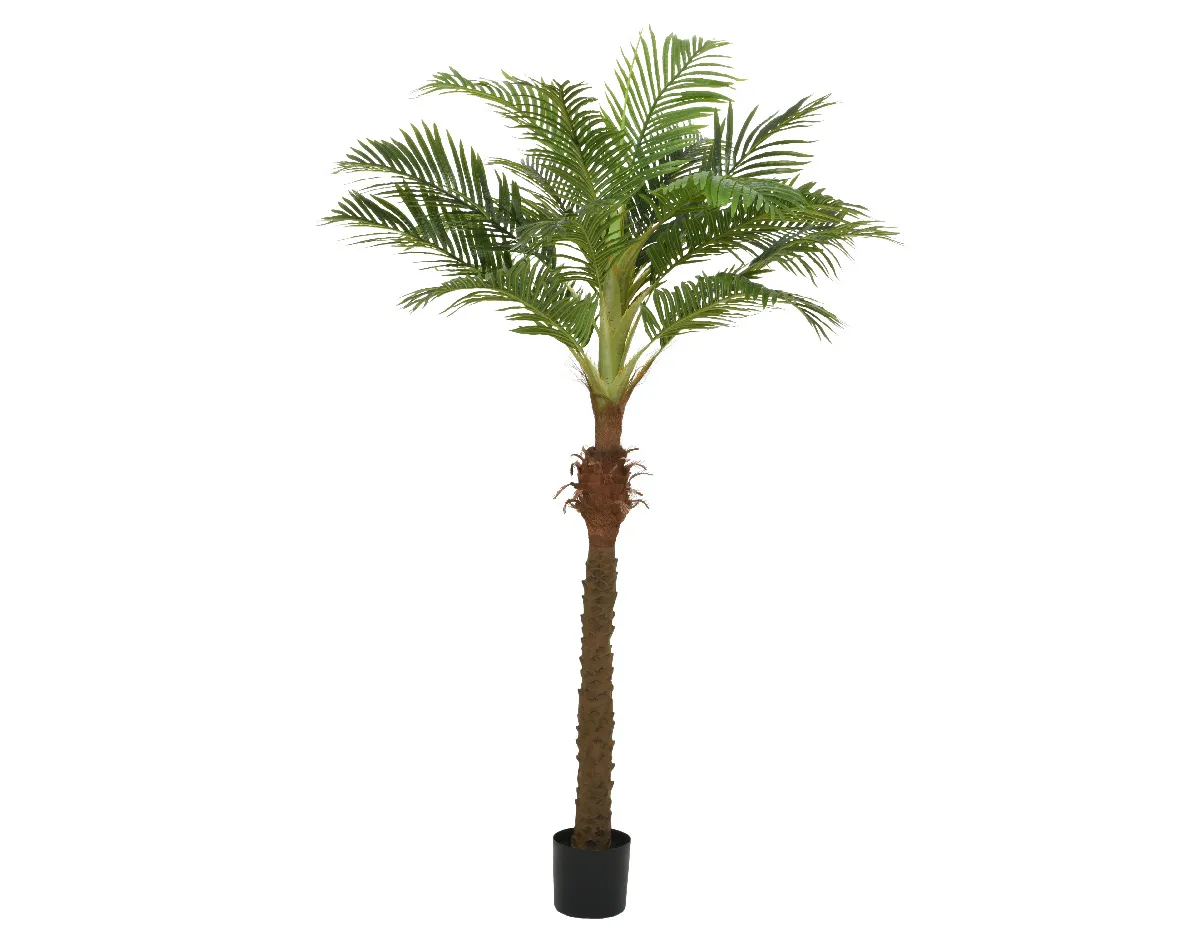Palmboom per 2 stuks