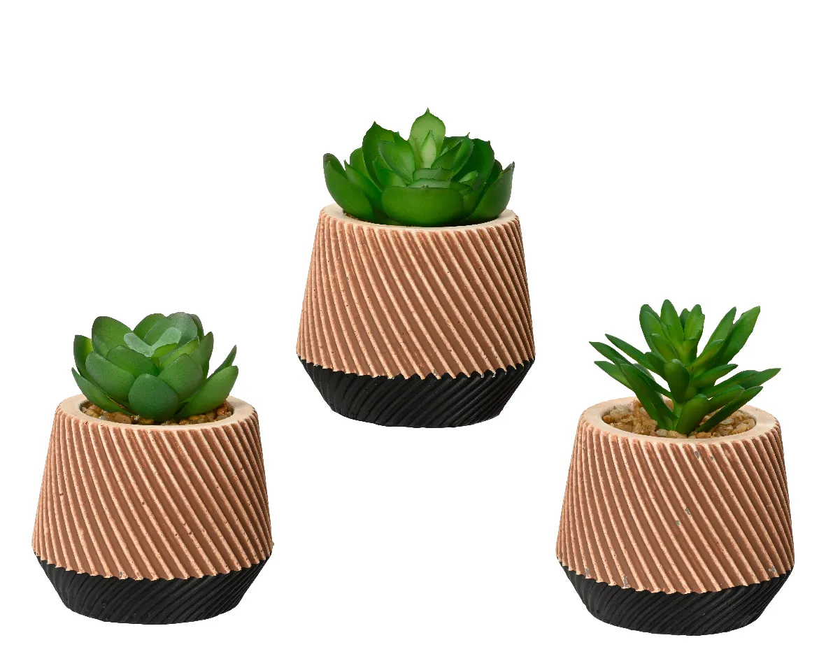 Vetplanten minimum 2 sets
