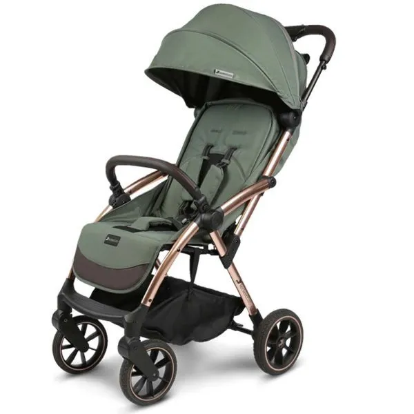 Leclerc Influencer XL (6m+)