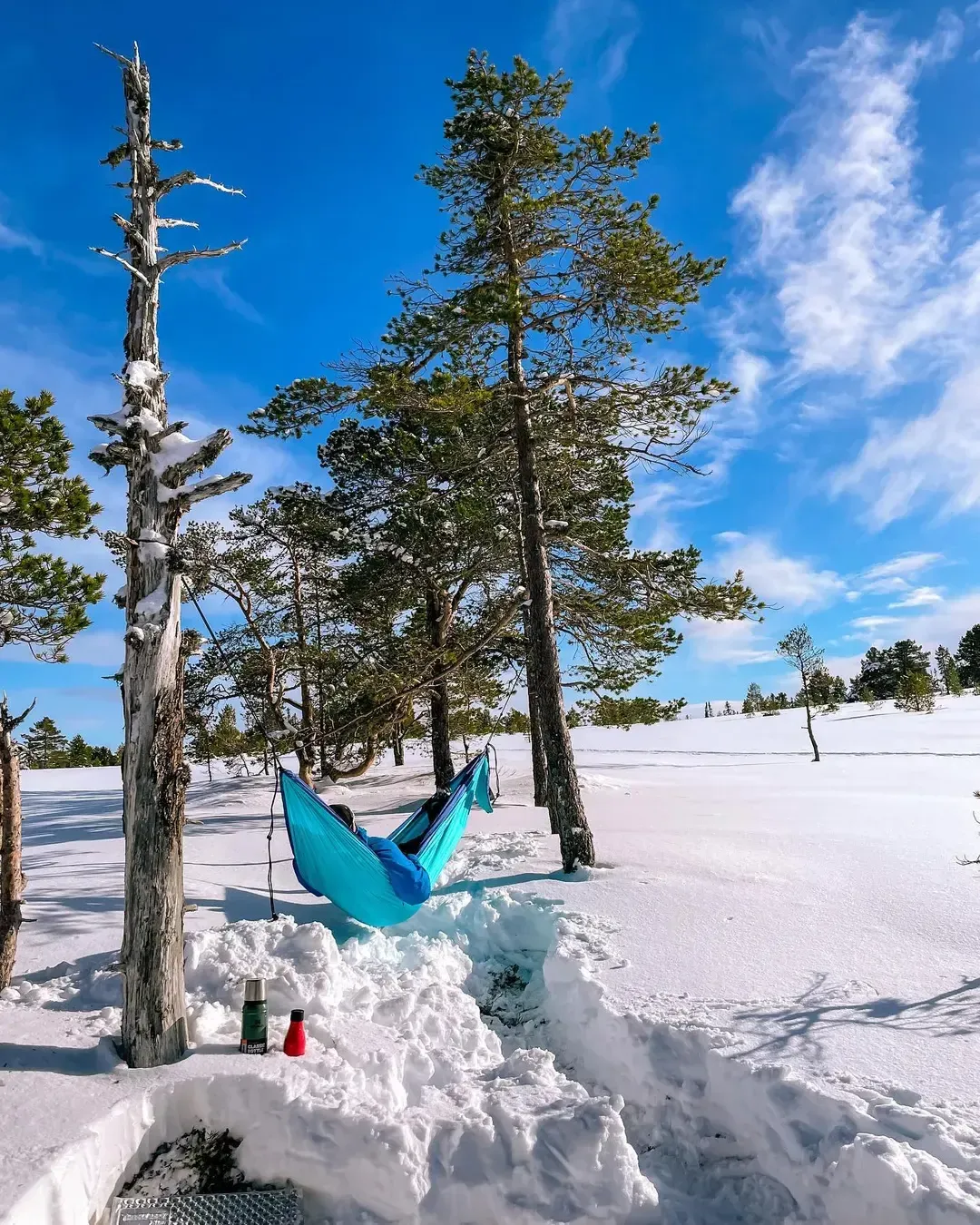 Hammock