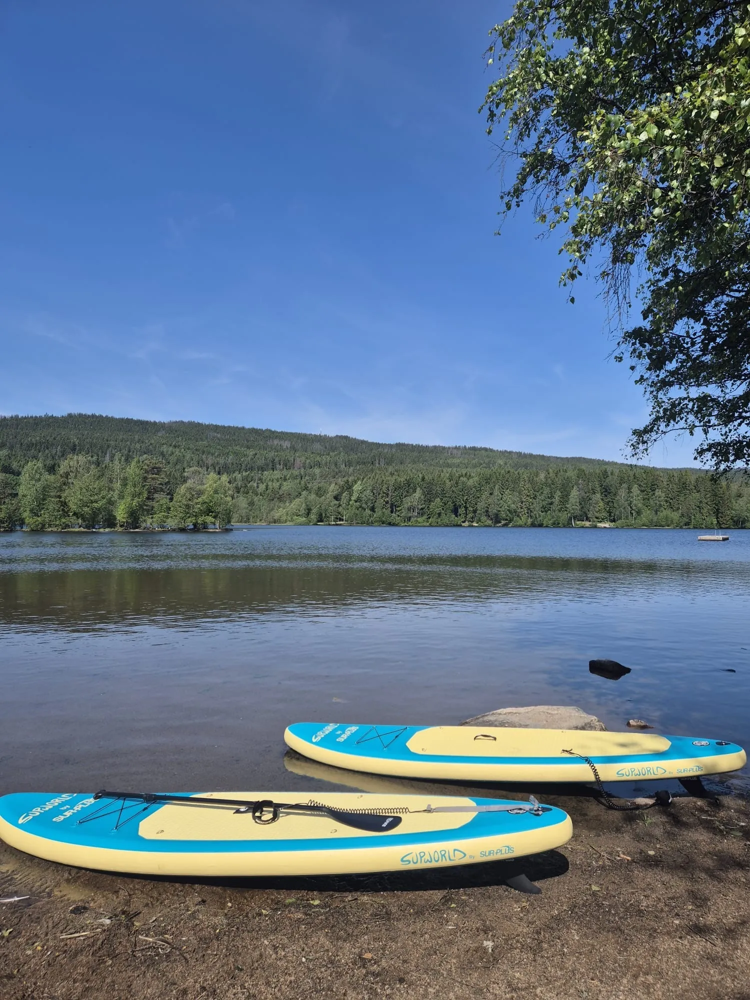 Paddle Board