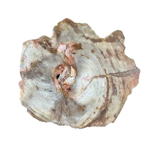 Agate Slab Decor/Various