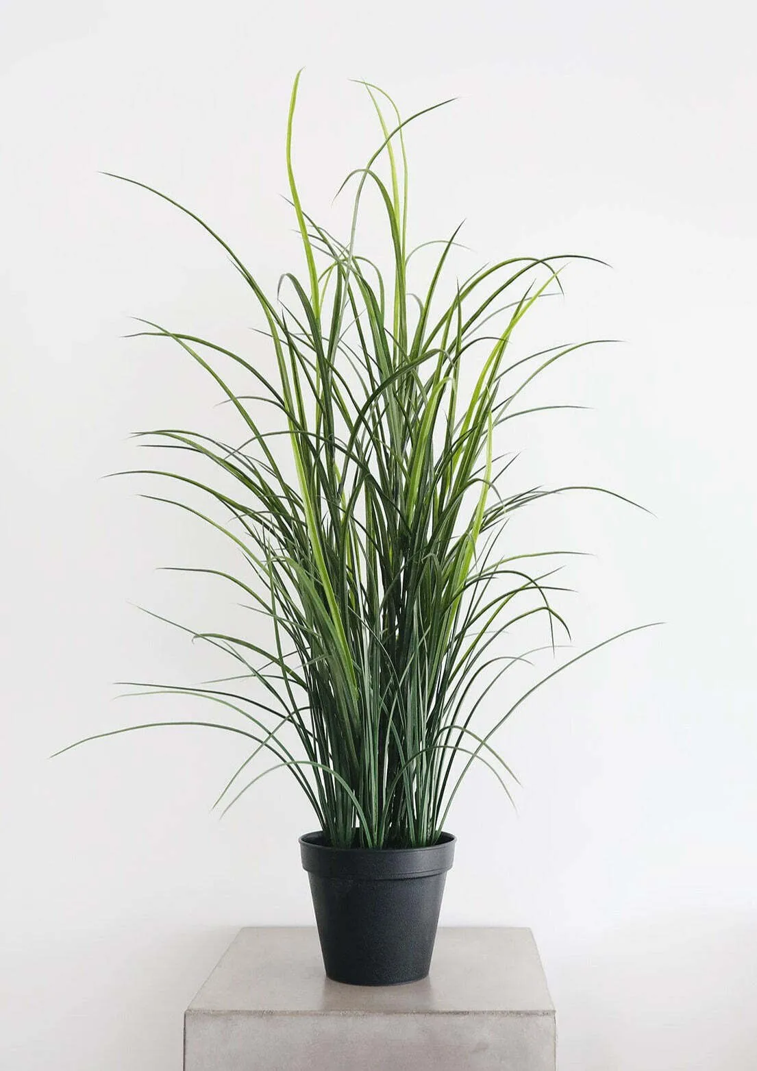 Artificial Plants
