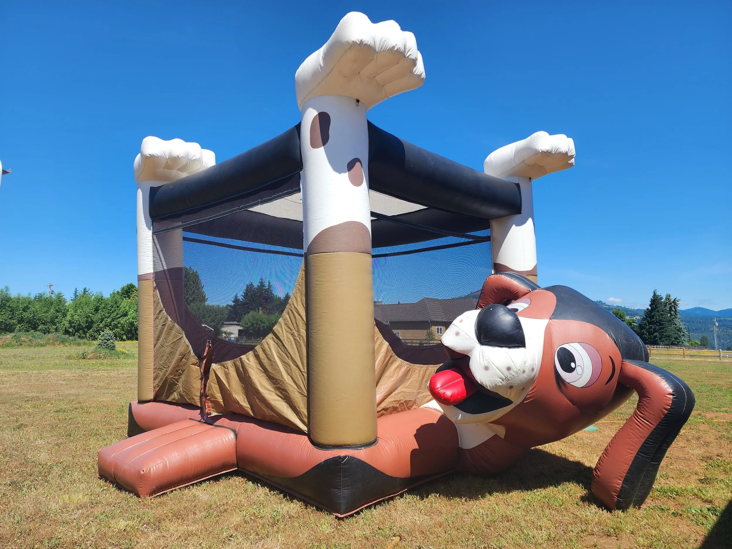 Happy dog bouncer 